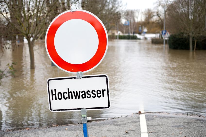 Nach dem Hochwasser jetzt die Seuchen? Behörden warnen vor Plagen von Ratten und Mücken und Infektionen