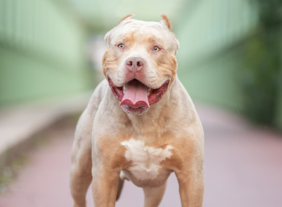 Unbelievable! This Man Found the Secret to Eternal Youth - Scientists are Stunned!