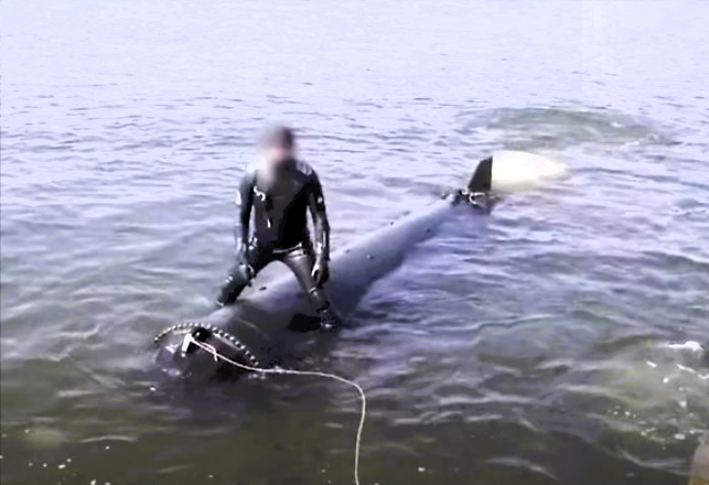 Putin zittert vor neuer Ukraine-Waffe! Brandneue Überwasserdrohnen - Jetzt bekommt das Land weitere Hilfe aus Deutschland